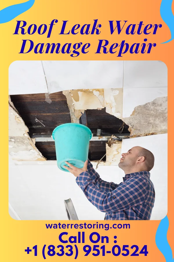 Roof Leak Water Damage Repair in Anna, IL
