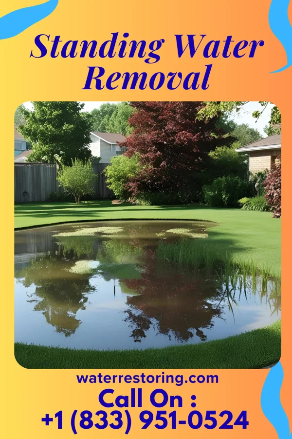 Standing Water Removal in Anna, IL